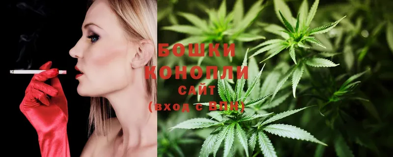 Конопля THC 21%  где найти наркотики  Ахтубинск 